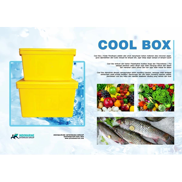 Ice Cooler Box / Cool Box Capacity 30 Liter Yellow