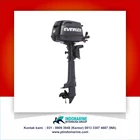 Outboard Evinrude 6 HP Portables 1